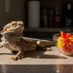 Can Bearded Dragons Eat Bell Peppers? A Complete Guide