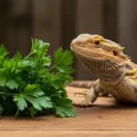 can bearded dragons eat parsley​? A Complete Feeding Guide
