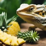Can Bearded Dragons Have Pineapple? Quick Guide