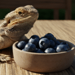 Can Bearded Dragons Eat Blueberries? Discover the Juicy Truth