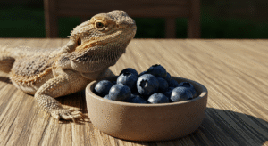 Can Bearded Dragons Eat Blueberries? Discover the Juicy Truth